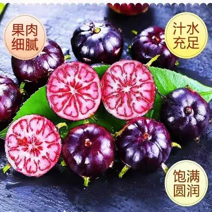 直播间粉丝福利，红果参新型水果包邮1斤
