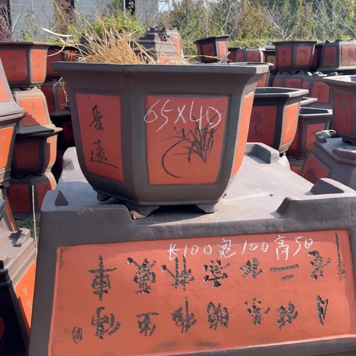 红陶20CM（含）-50CM（不含）