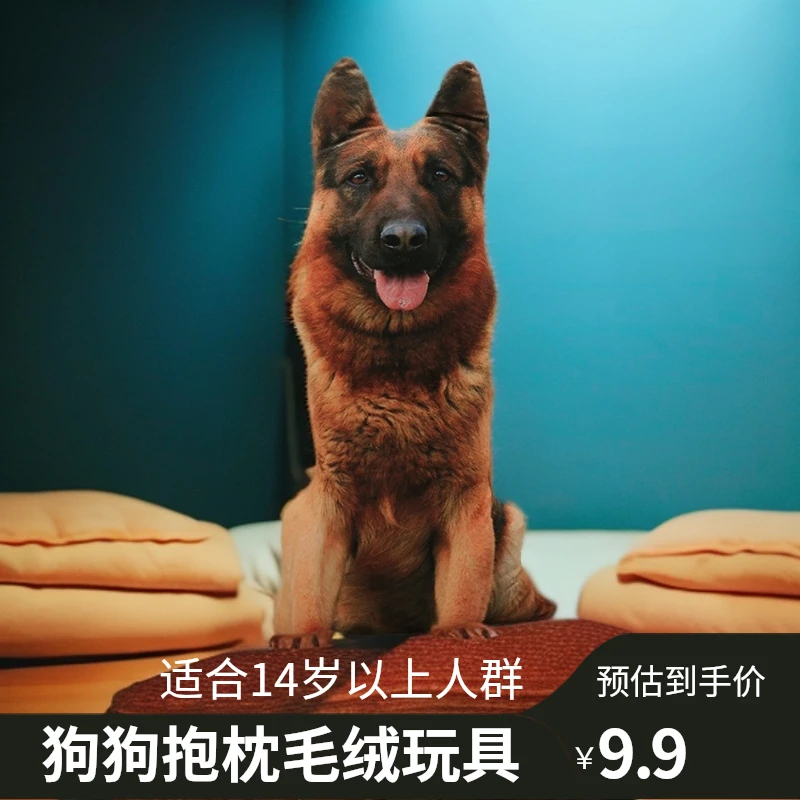 展示仿真抱枕毛绒玩具展示仿真创意3d抱枕憨憨抱枕德牧哈士奇八哥