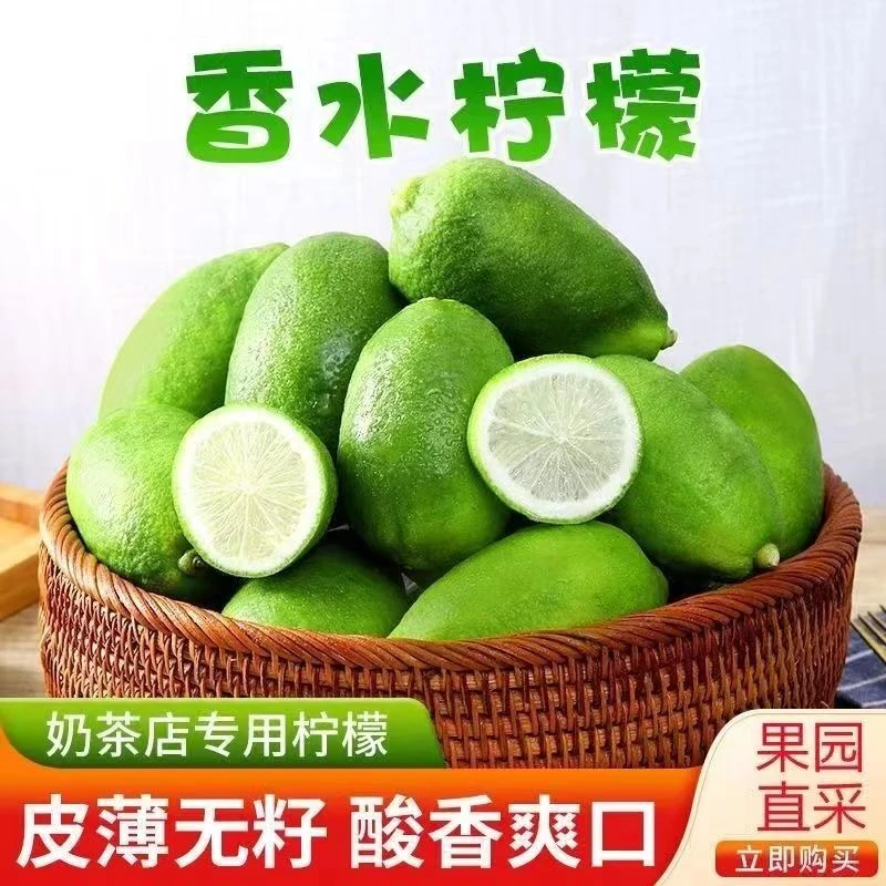 云南香水柠檬新鲜无籽柠檬青柠檬无籽新鲜皮薄多汁果园直采1-5斤