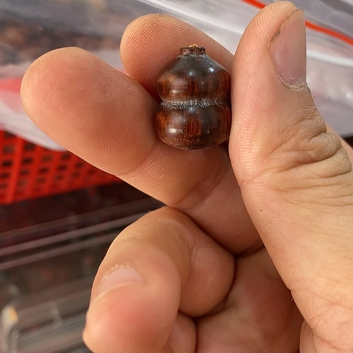 核桃木/黑胡桃（胡桃木）