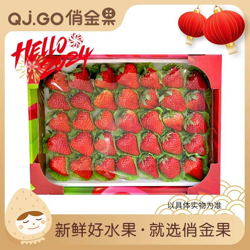 【年货送礼】红颜草莓1-1.2kg 送领导/朋友/年货节