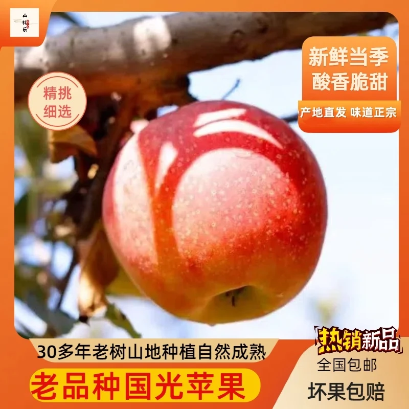 国光苹果正宗小国光苹果山东五莲老树自然熟酸甜口皮薄肉脆
