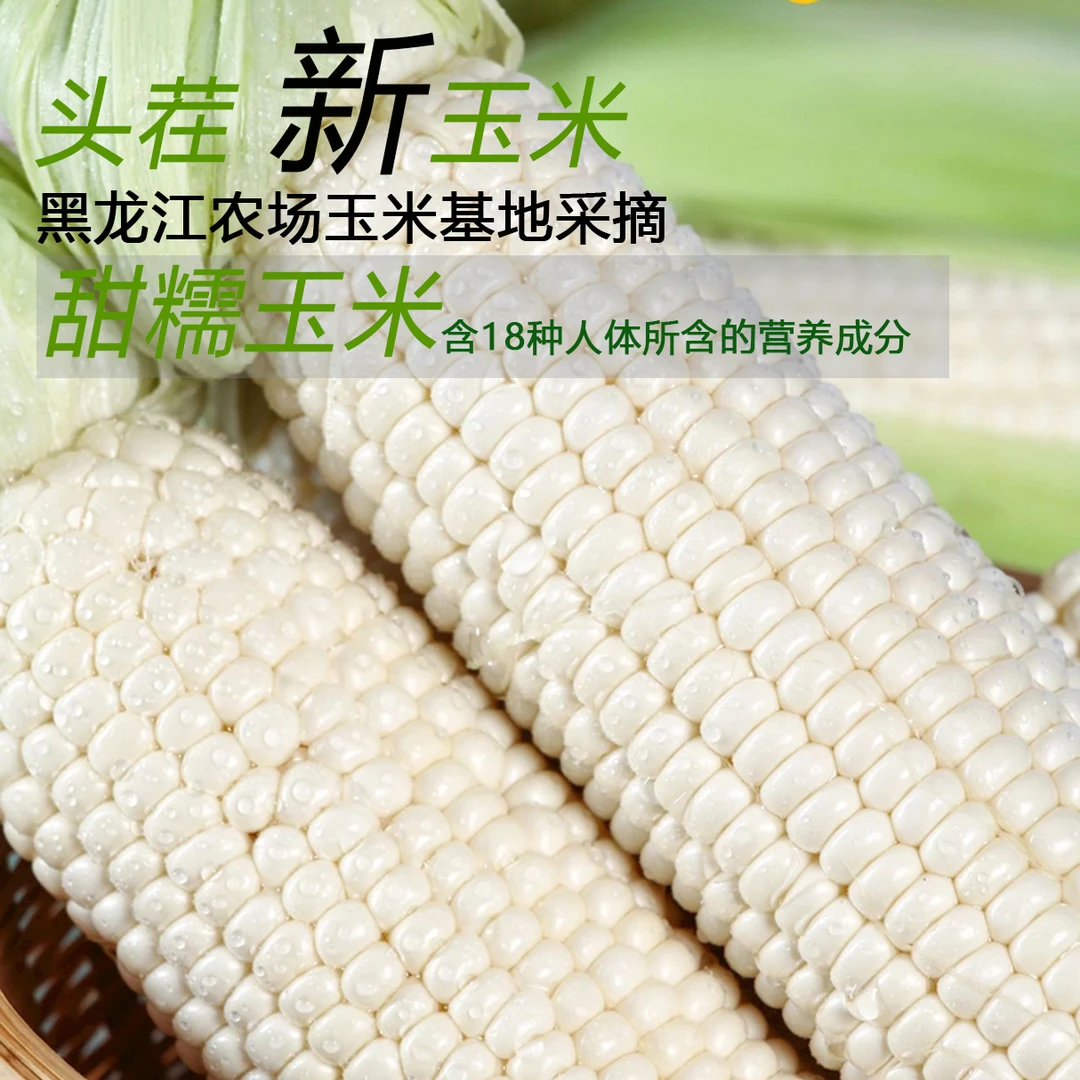【小王支书玉米专属】 东北黏玉米 白甜糯 粗粮 冷冻发货糯玉米营养
