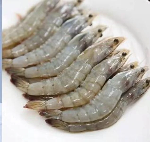【小章推荐】盐冻南美白虾对虾 海洋大虾 3.3斤/盒 顺丰发货
