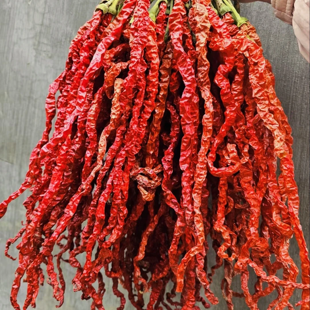 农家新货贵州特产鸡肠椒微辣特香