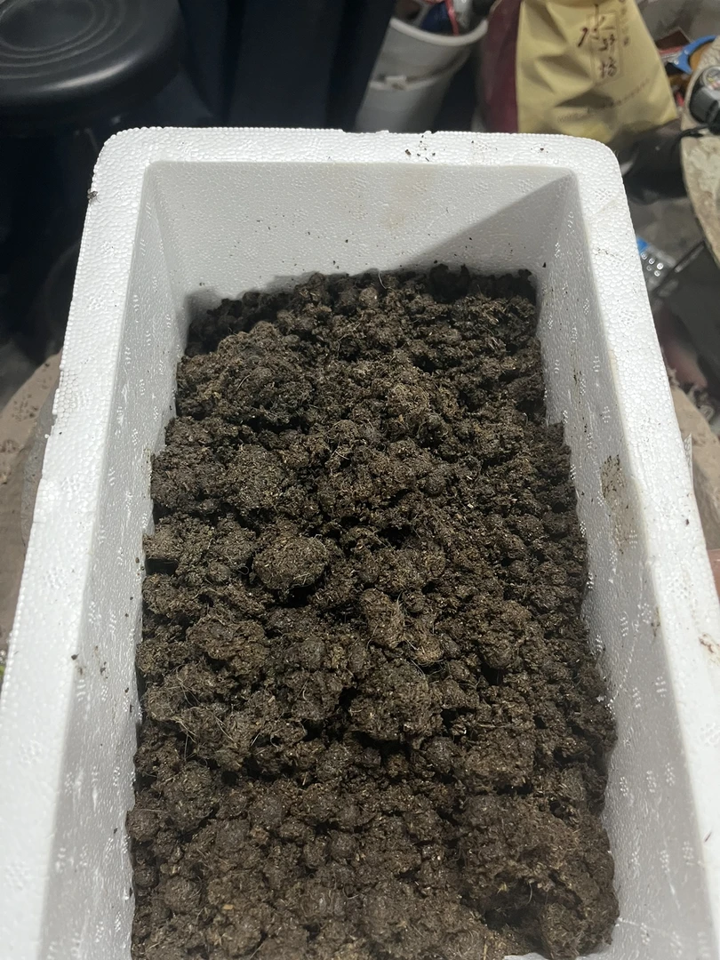 只付运费免费送您金弹子兔粪营养土农家3公斤