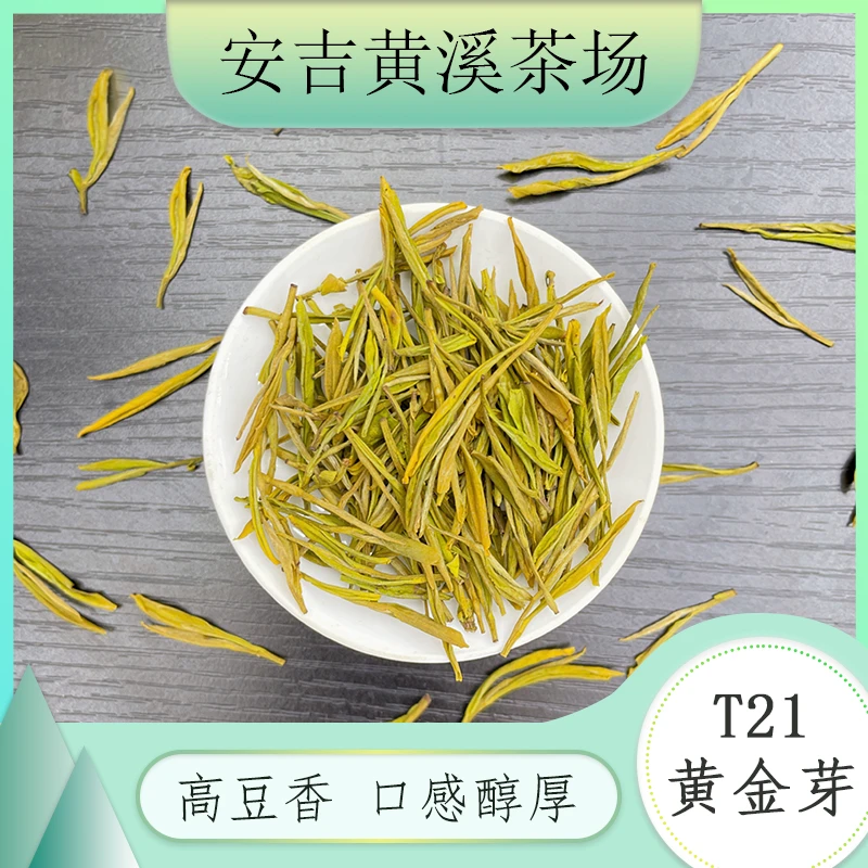 2025安吉黄溪新茶【 黄金芽T21】口感醇厚 高豆香 安吉罐装发货