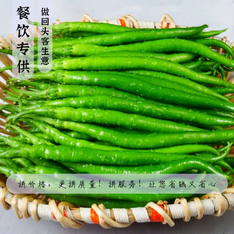 新鲜辣椒青线椒会龙二荆条微辣中辣现摘现发青辣椒薄皮辣椒5斤