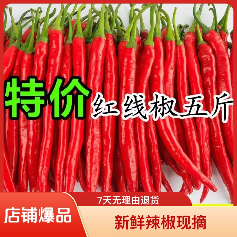 新鲜辣椒现摘红辣椒二荆条红线椒尖椒中辣青线辣椒5斤可做剁椒酱