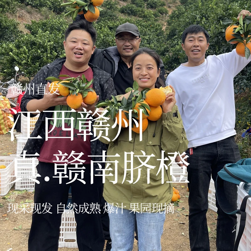 【山东仓京东快递】赣南脐橙正宗江西9斤装新鲜赣州纽荷尔