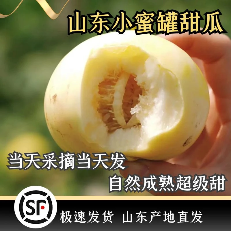 星甜20小蜜罐甜瓜山东甜蜜4.5斤新鲜清香细嫩【京东/顺丰包邮】