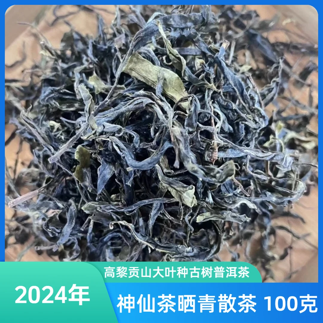 高黎贡山 2024年云南大叶种古树普洱茶 神仙茶 散茶100克