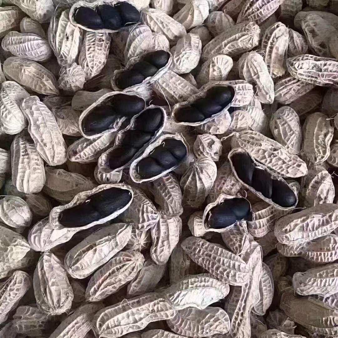 （新）广西灵川县山姐 新品带壳黑花生  散装农产品  三斤包邮