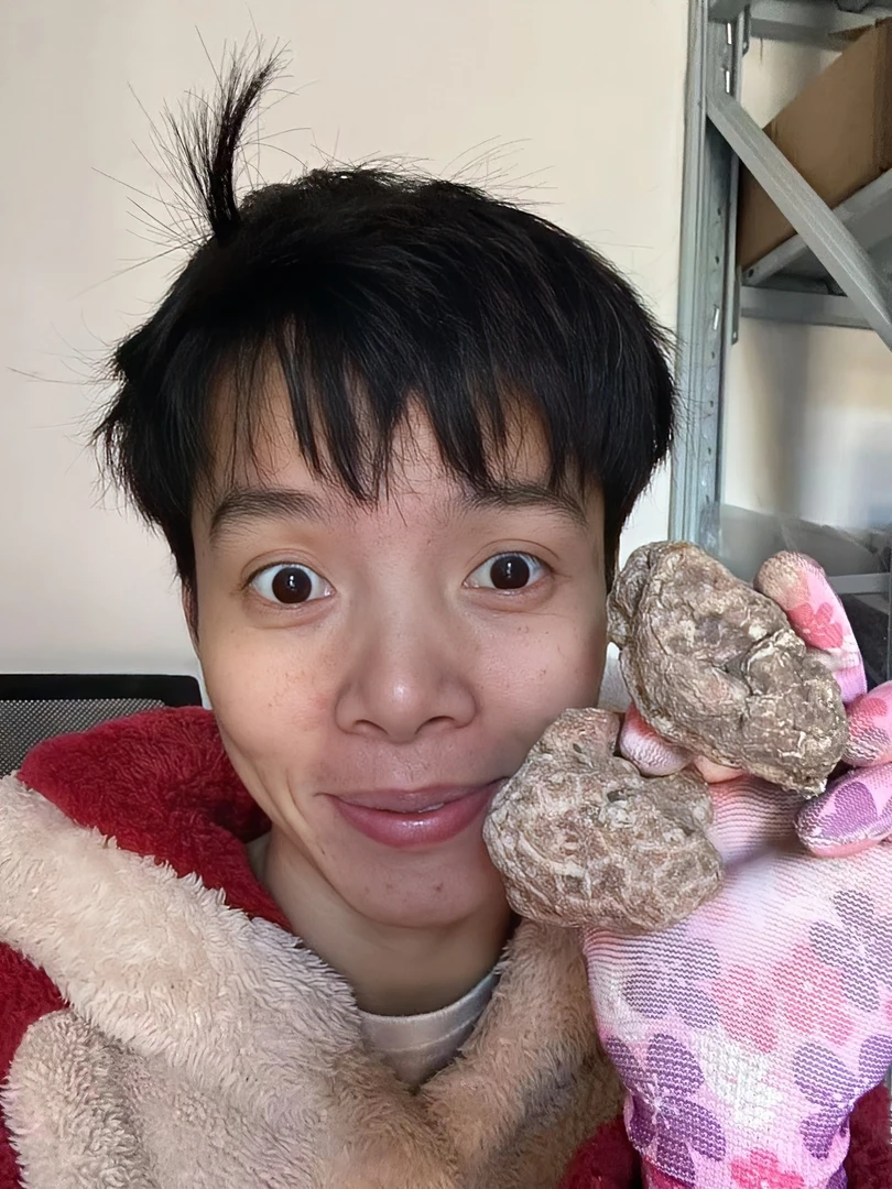 广西灵川县山姐 虎乳菌 散装农产品 一斤包邮