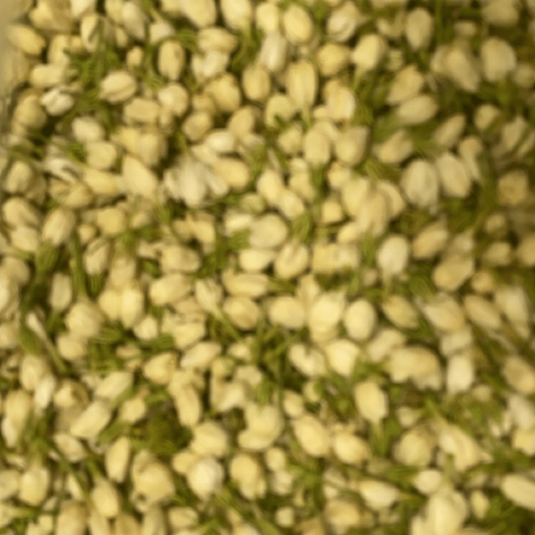 【土特产】茉-莉-花50g