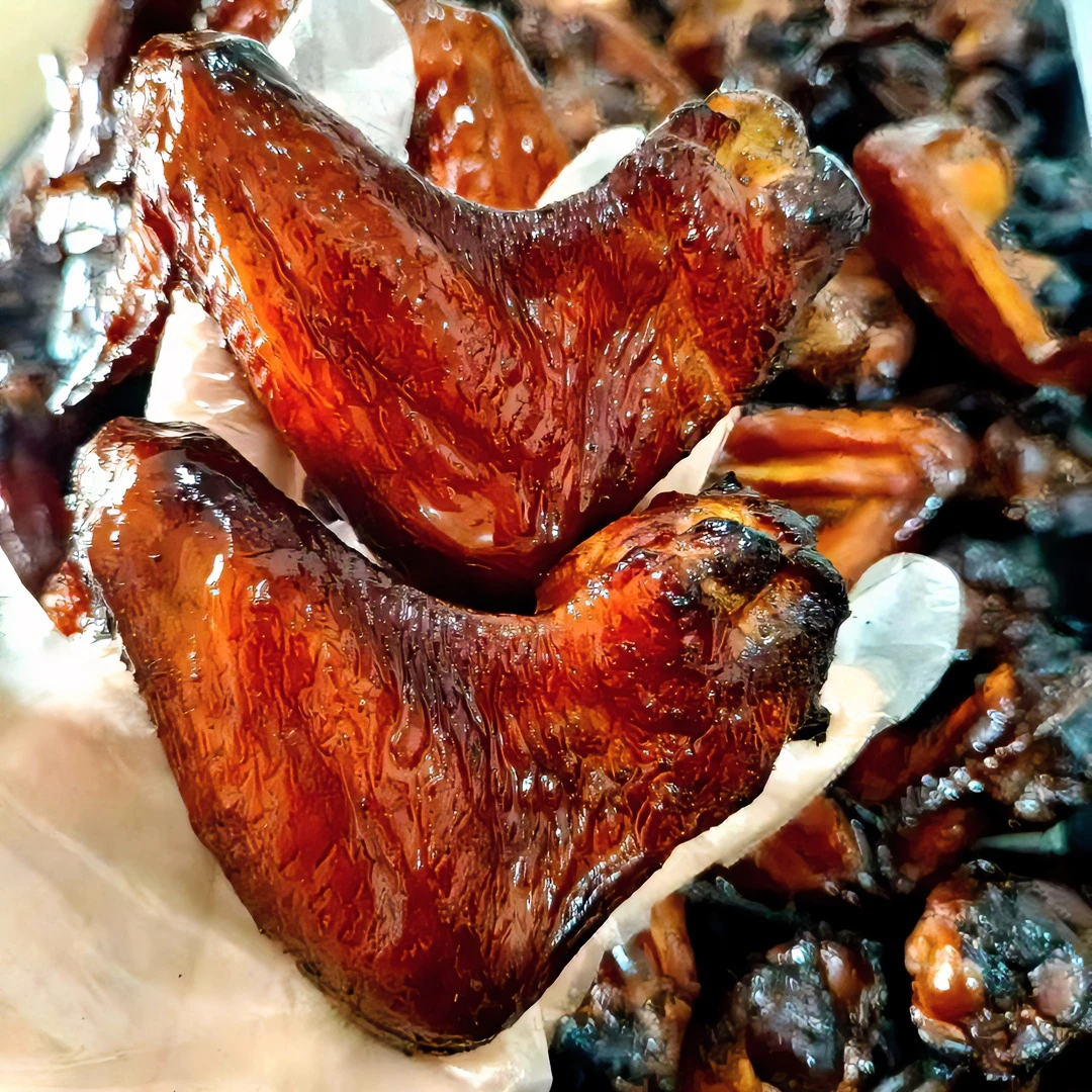 潮汕特产地道甘蔗烟熏鸡翅鸡翅2包/10只 包冰率不含冰