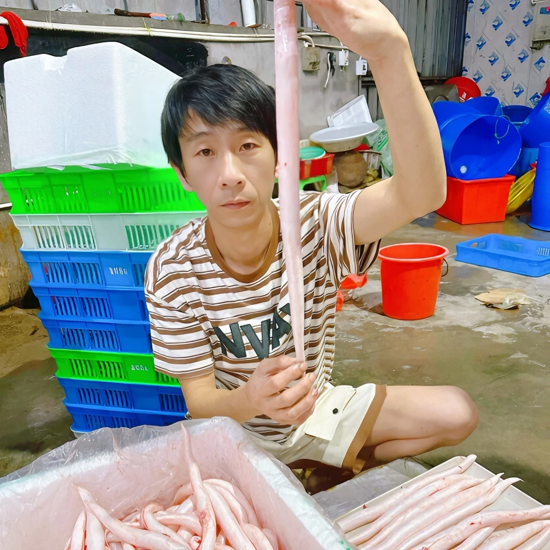 惠来本港鳗鱼泡顺丰包邮 钓鳗鱼胶 现杀鳗鱼泡