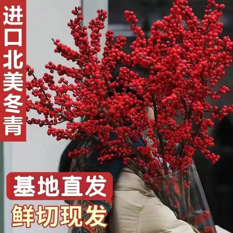 特级北美秋冬冬青果成品招财发财果客厅摆放花切枝插花水培新款