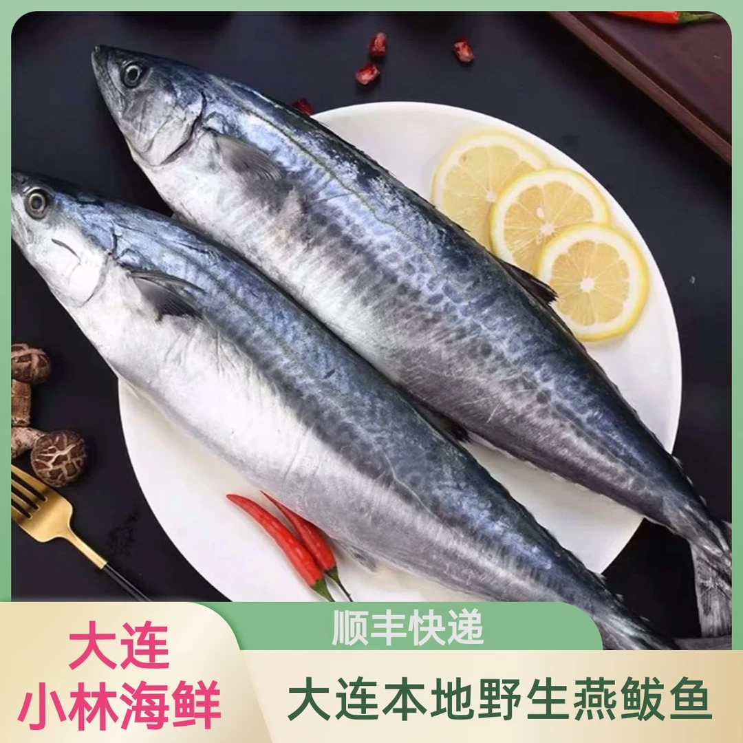 【大连野生燕鲅鱼】 单条3-4斤 顺丰包邮