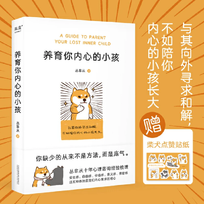 养育你内心的小孩 养育你内心的小孩 丛非从著心理自助疗愈心理学