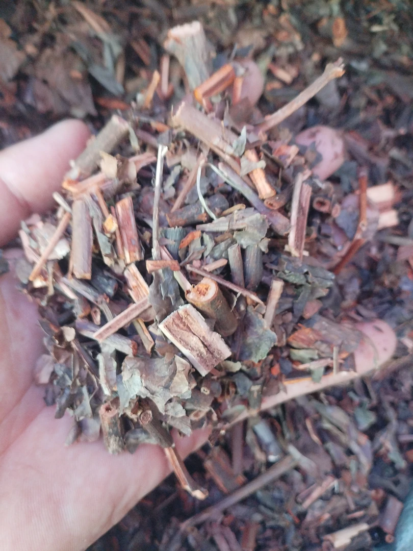 云南土特产≈[小≈炎≈大≈望]非香菇