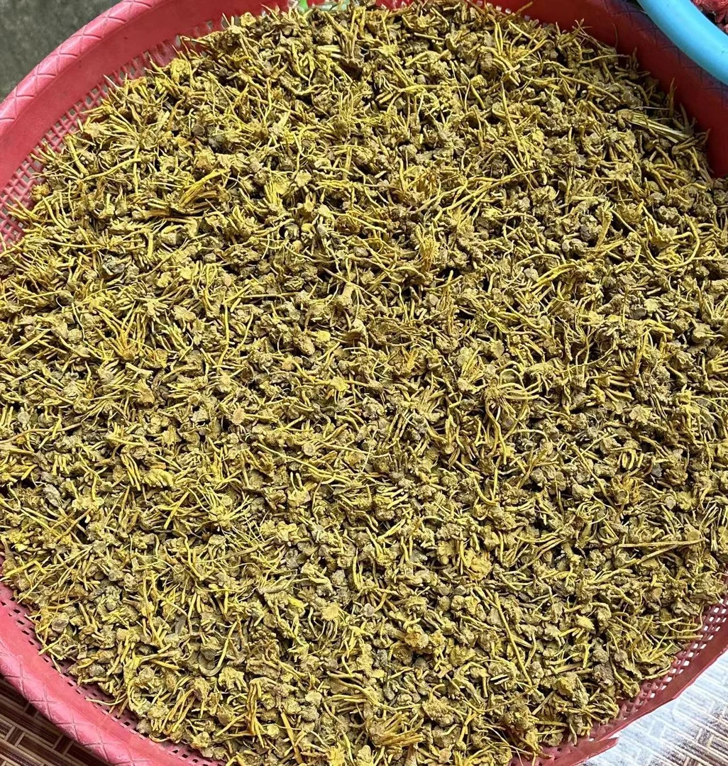 云南土特产≈[金≈龙≈石≈斛]非香菇500g起拍