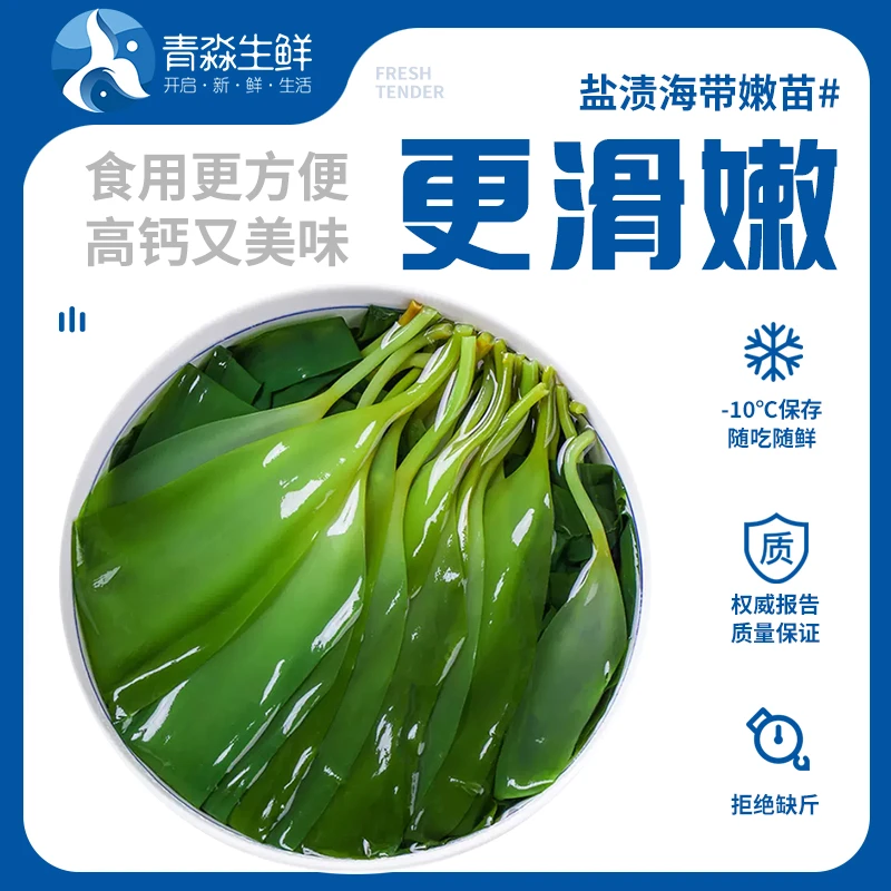 【福利专属】霞浦鲜嫩盐渍海带苗 新鲜干净无沙 味道鲜美 250g*2袋