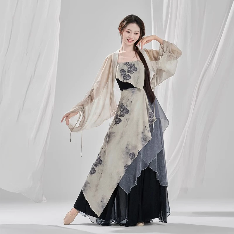 新款古典舞演出服印花飘逸纱衣裙中国舞古风舞蹈服汉唐服剧目服装