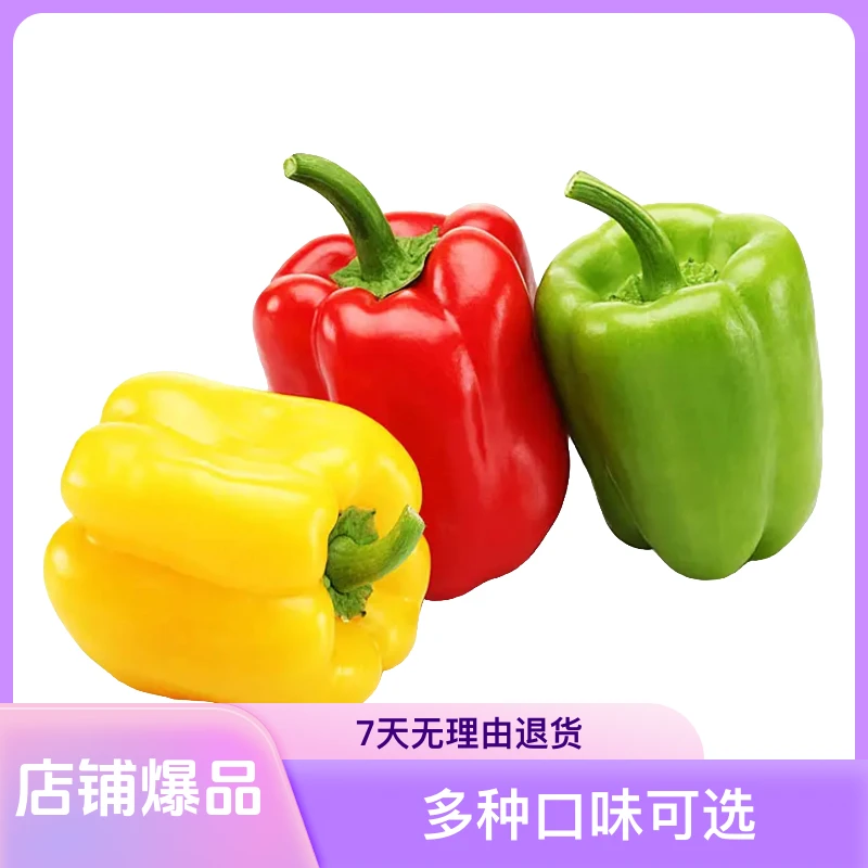 五彩圆椒甜椒灯笼椒水果辣椒新鲜蔬菜