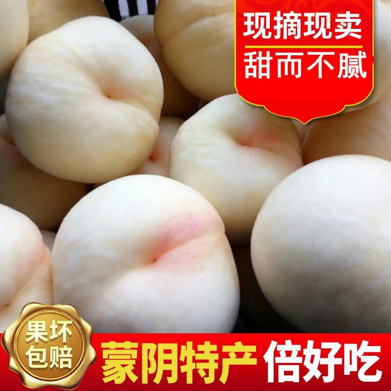 正宗蒙阴大白桃毛桃白玉蜜桃应季水果现摘4.5斤3斤