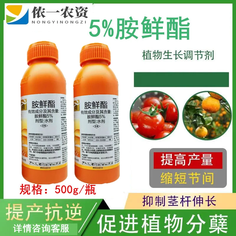 5%胺鲜酯 作物植物生长调节剂 促花保果防冻抗逆上色