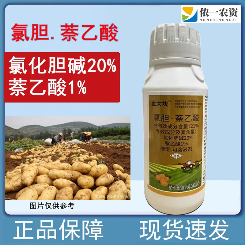 【专属】氯胆萘乙酸氯化胆碱 土豆膨大素 地下作物块茎膨大剂