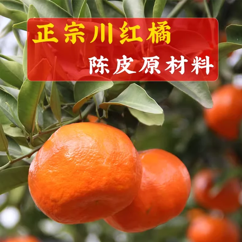 重庆红橘万州古红桔正宗川红橘子新鲜薄皮陈皮原料大红袍