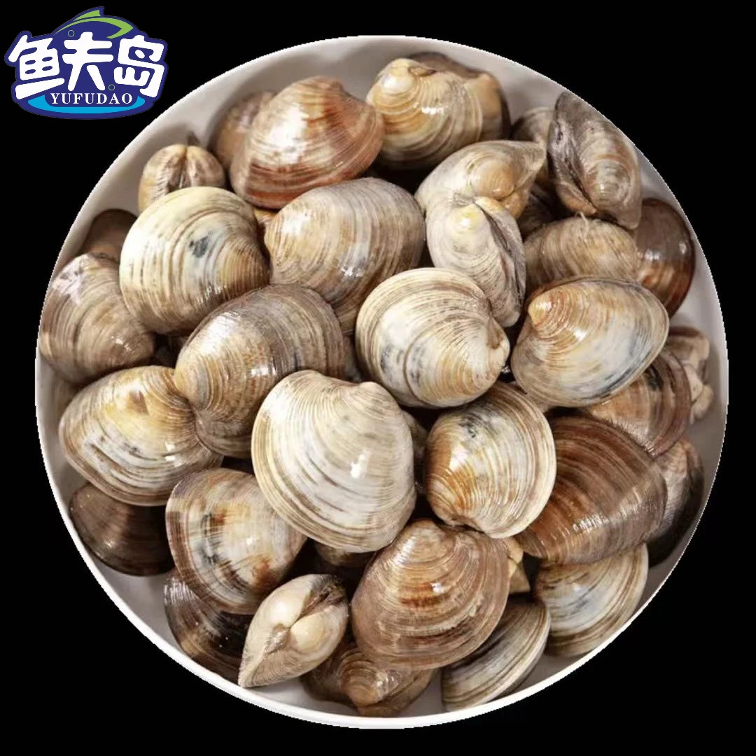 (大东) 鲜活无沙野生海鲜大蛤蜊美贝 5斤 破碎属于正常现象