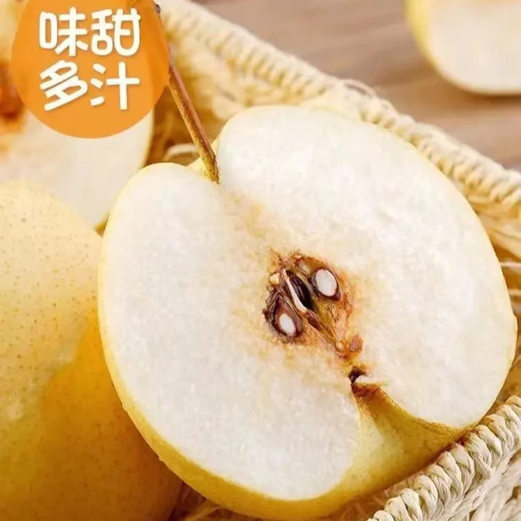 隰县酥梨五斤