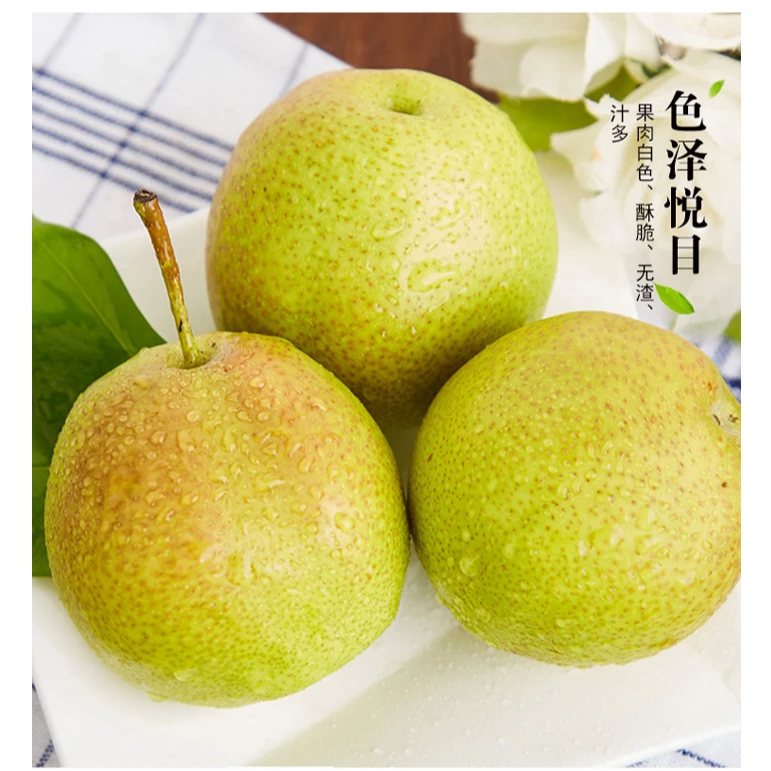 玉露香梨带箱10斤左右
