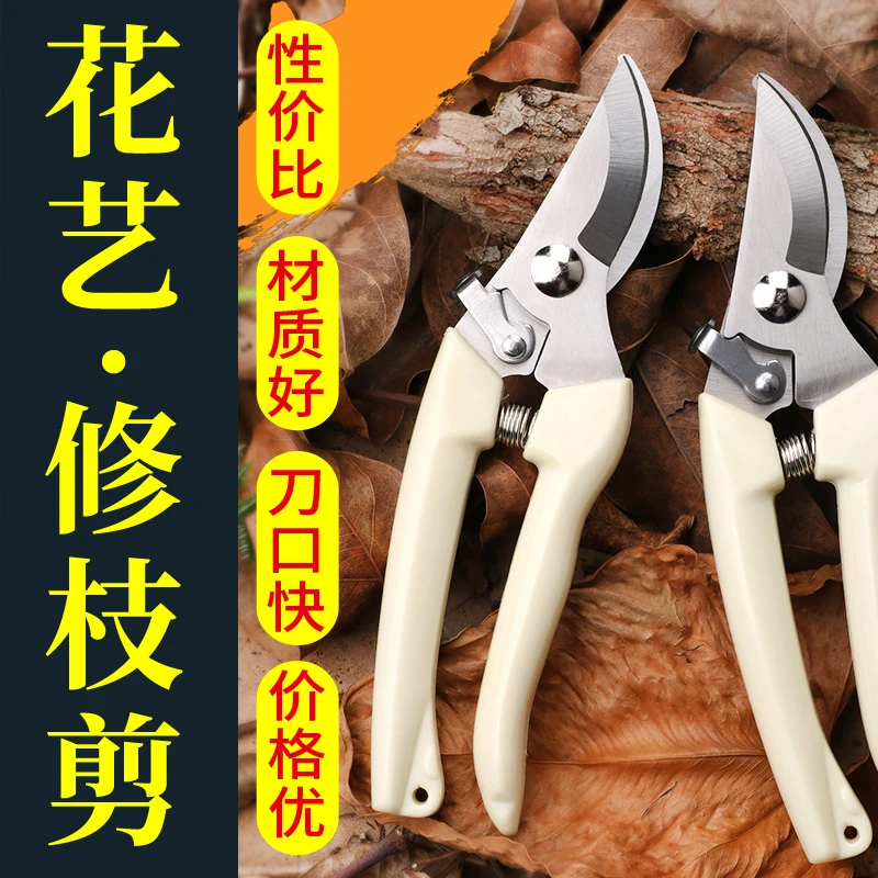 花剪园艺剪刀插花修枝剪省力修剪树枝果树竹签花卉专用花艺剪剪子