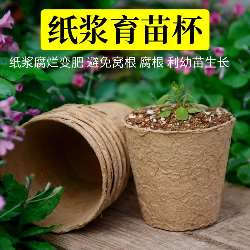可降解育苗杯培育苗盆花苗培育盆多肉一次性叶插纸浆营养杯育苗杯