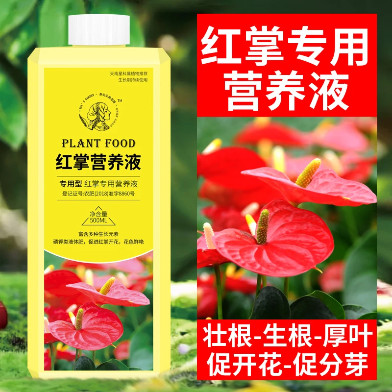 红掌专用肥料白掌营养液红掌叶黄专用肥花肥磷钾肥促进开花的肥料