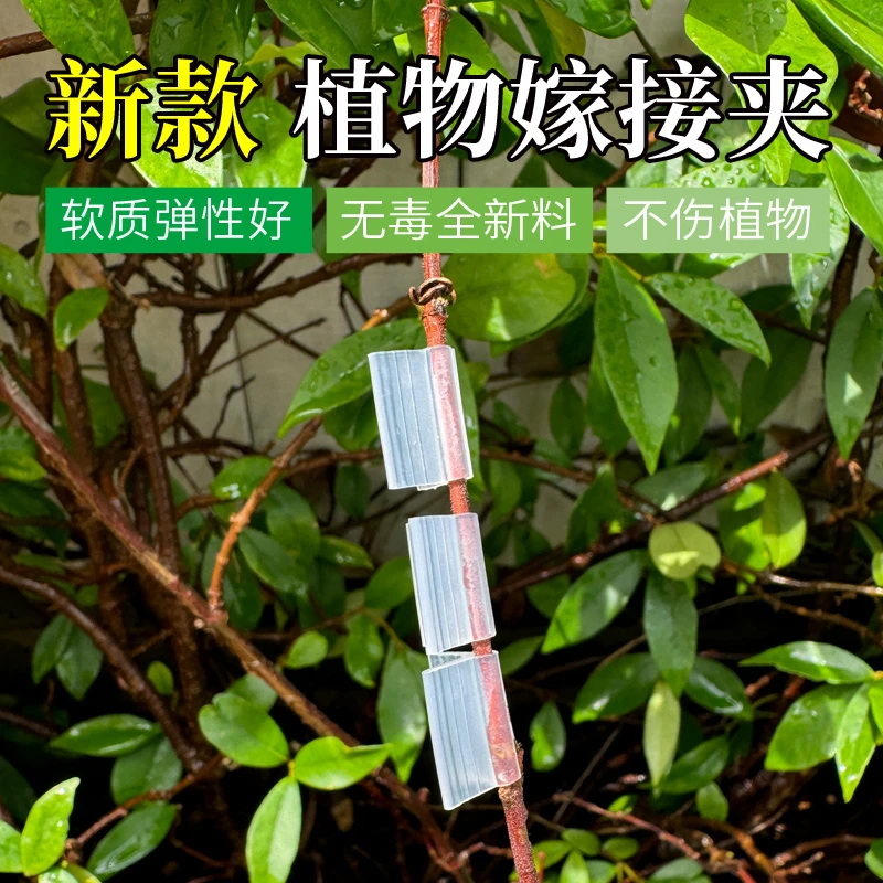 育苗嫁接夹蔬菜瓜果茄子西瓜甜瓜秧苗育苗夹嫁接专用塑料夹子软质
