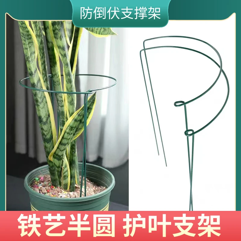 植物花支架半圆花架护叶架铁艺花架蟹爪兰龟背竹支撑架防倒伏支架