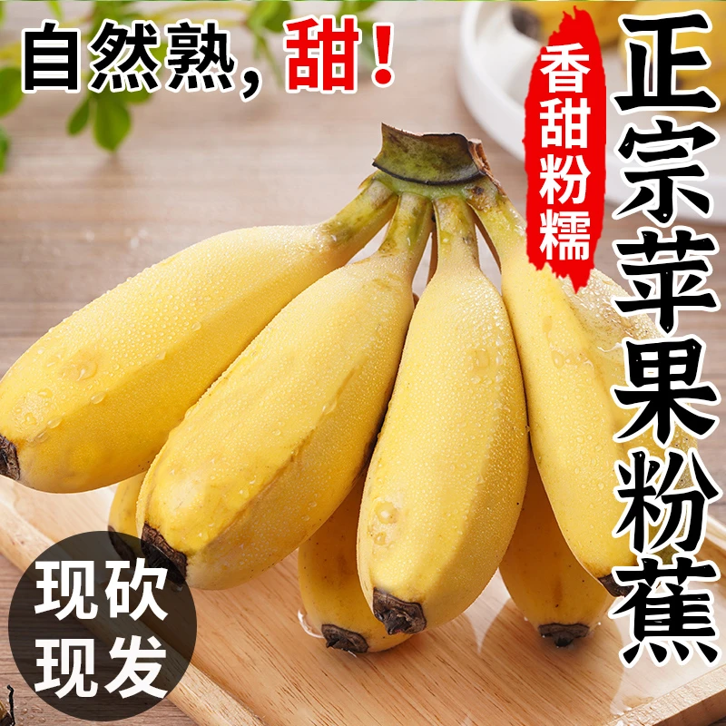 正宗广西苹果蕉产地直发批发整箱时令新鲜水果香蕉绿色成熟