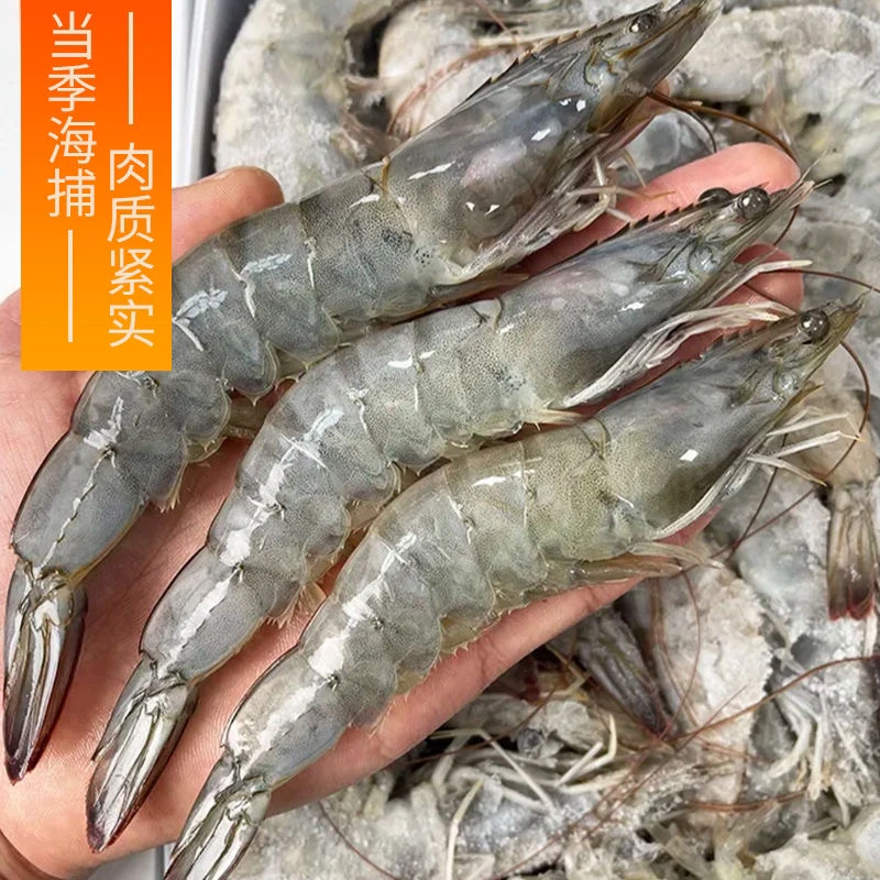 连云港 中大号13-15cm海水大虾4斤 新鲜速冻 只只分离一斤15-18头