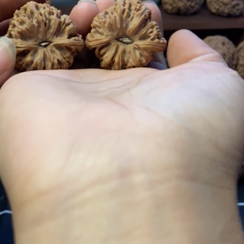 桃核吊坠嘉***城核桃核桃