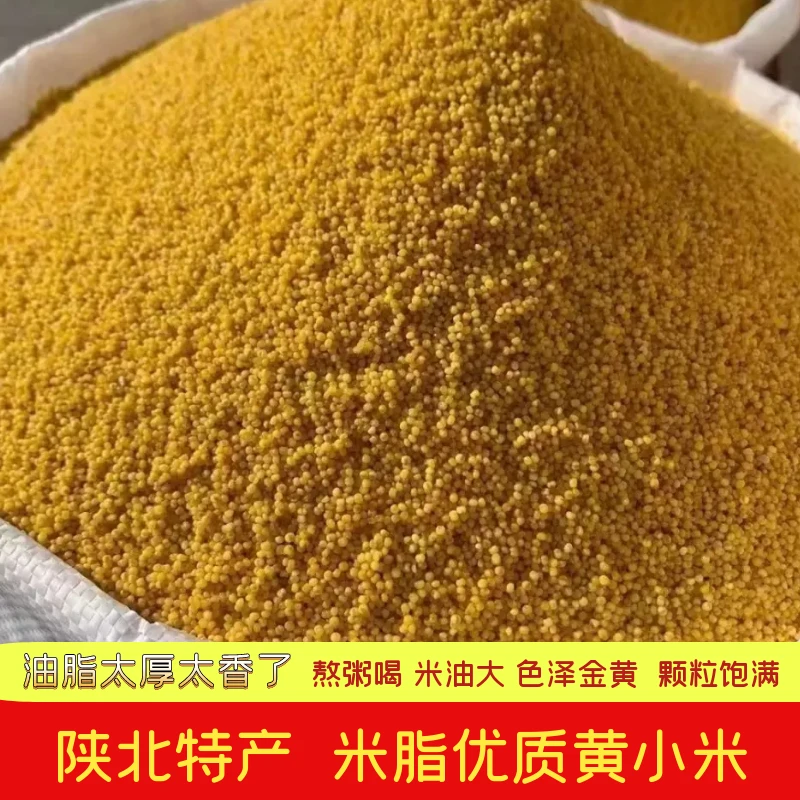 陕西特产米益康陕北米脂小米正宗农家榆林黄小米食用优质熬粥粗粮