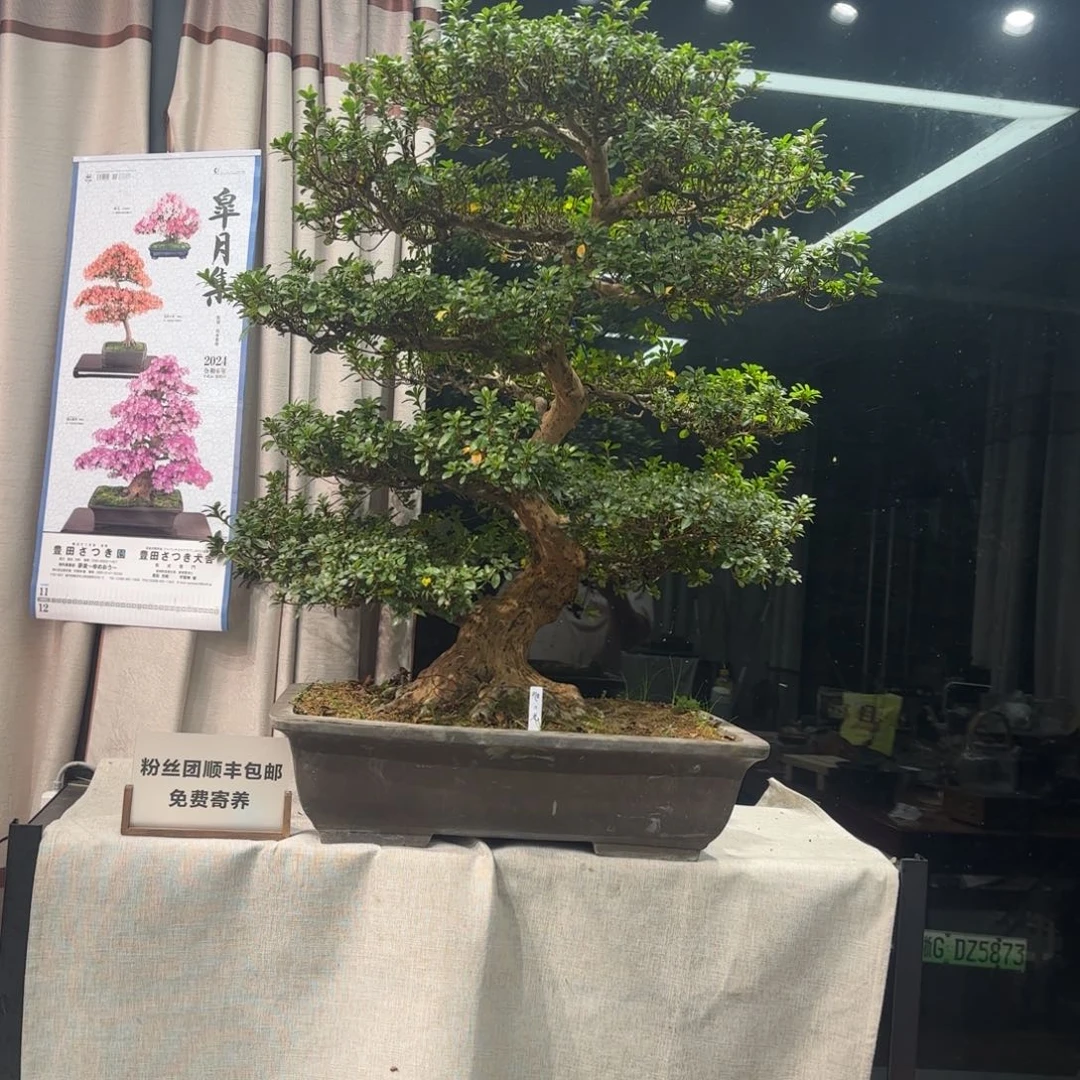 想*哆花卉苗木5400