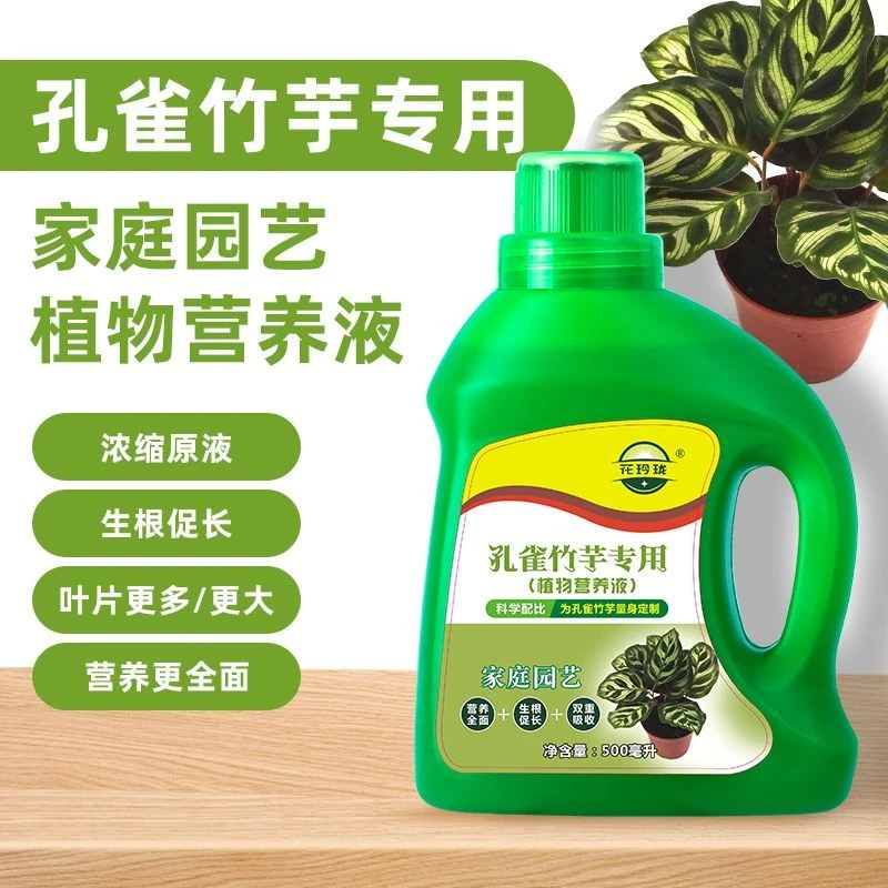 礼品孔雀竹芋专用黄叶营养液植物营养液水培烂根园艺生长土壤适用
