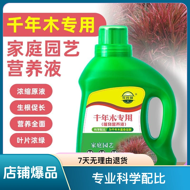 【送礼品】千年木专用营养液治黄叶促生根家庭绿植植物营养液缓释