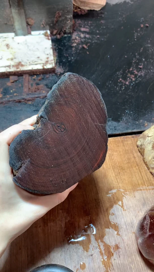 【闪购商品】檀木木雕海黄1.5